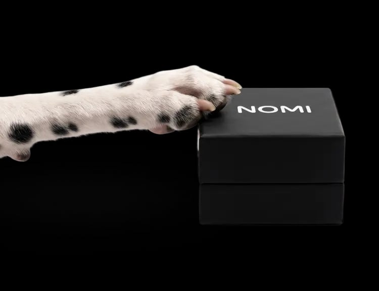 Лапа собаки на коробці NOMI