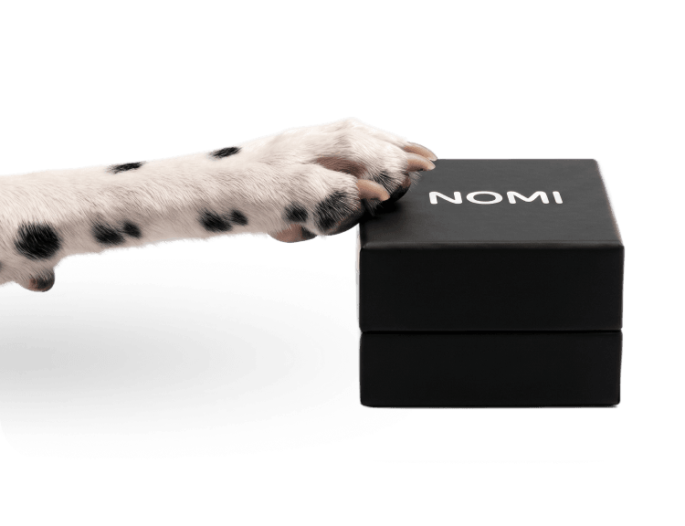 Лапа собаки на коробці NOMI