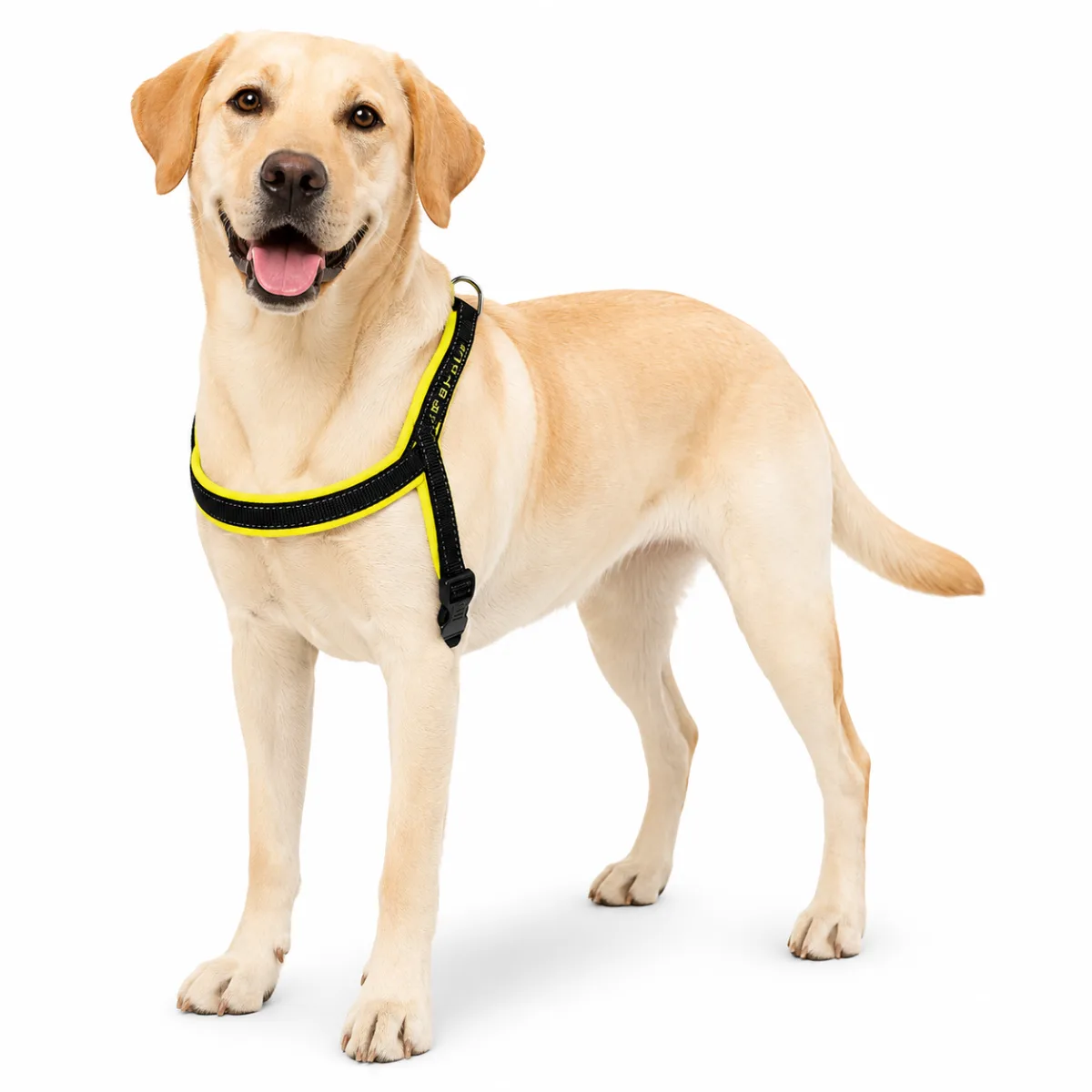 Спортивна нейлонова шлея для собак Ferplast Sport Dog P